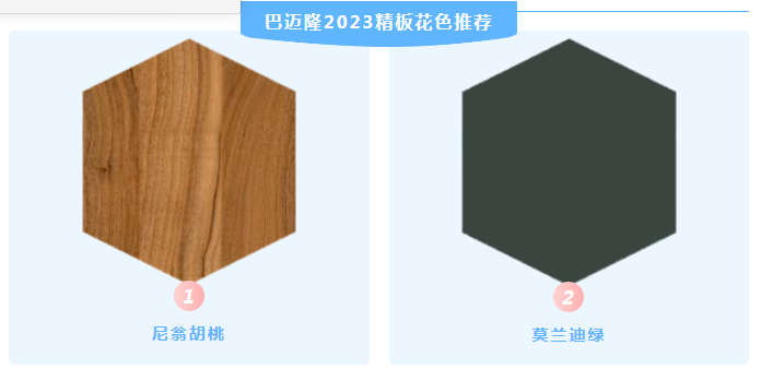 蓝月亮资料大全一首页